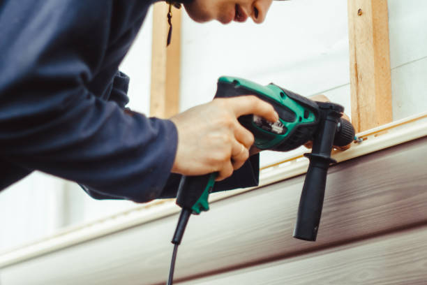 Best Custom Trim and Detailing for Siding  in Bethany, IL